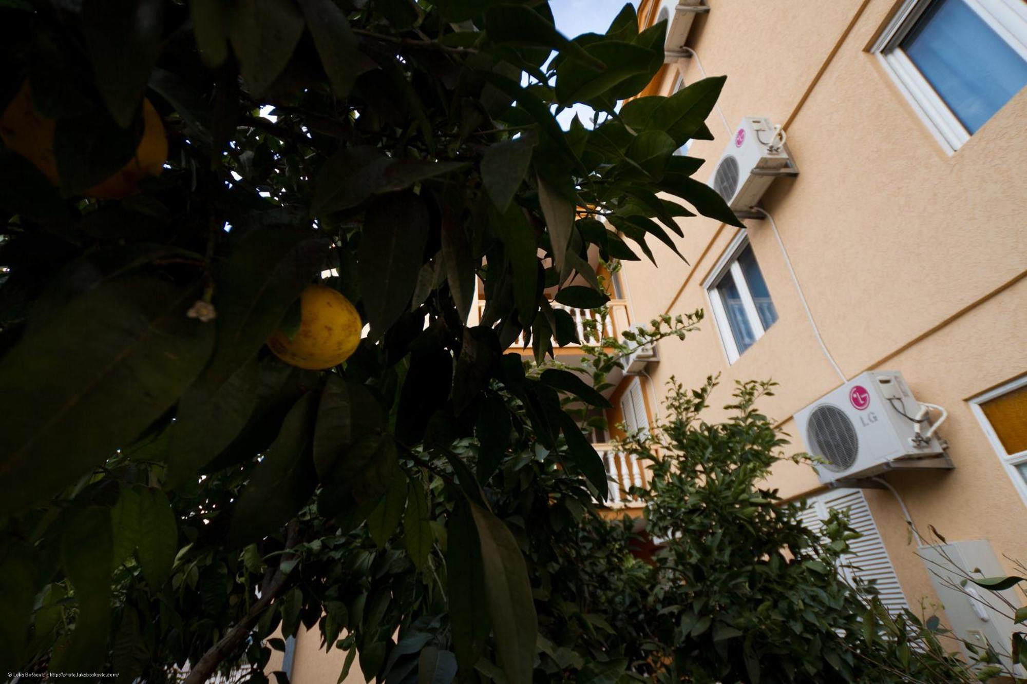 Apartments Dalila Ulcinj Ngoại thất bức ảnh