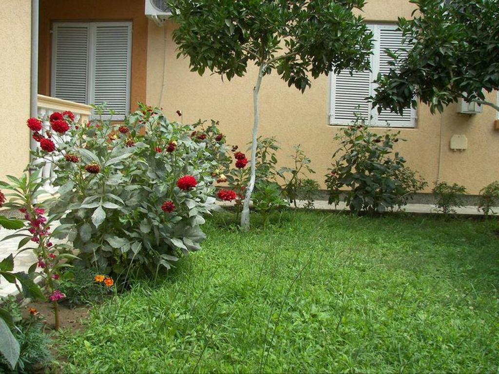 Apartments Dalila Ulcinj Phòng bức ảnh